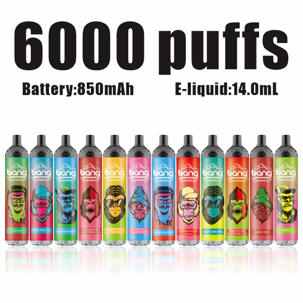 The Newest Bang King 6000 Puffs disposable vape 5% Nic Rechargeable Type-C